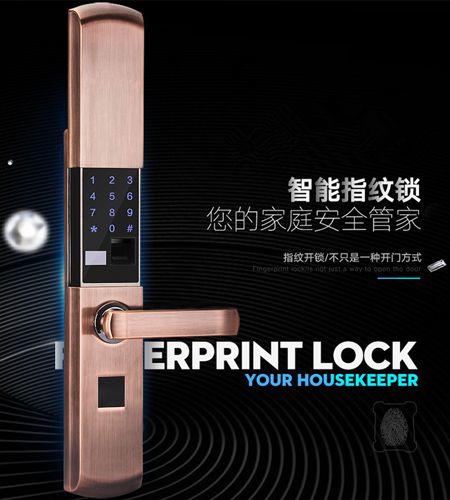 650元红古铜滑盖超级指纹密码锁五合一半导体指纹头(图)
