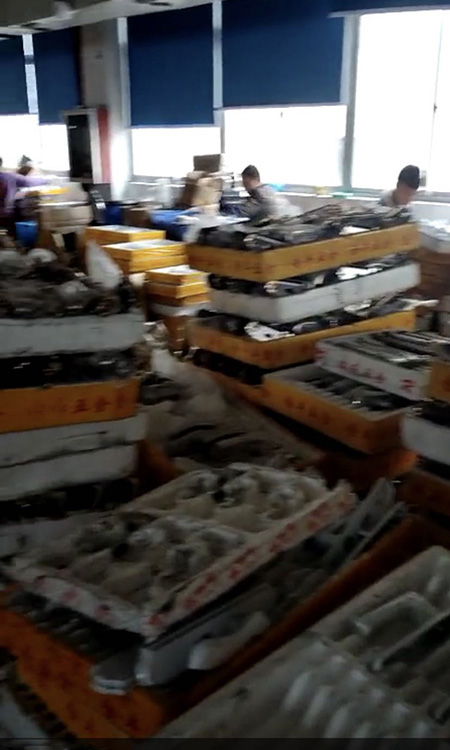 【门锁生产厂家】关门倒闭在疫情结束前夕(图)